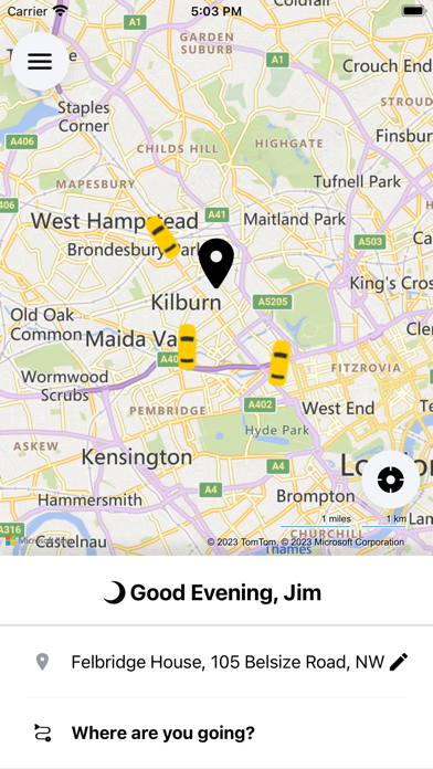 Airport Bee Screenshot