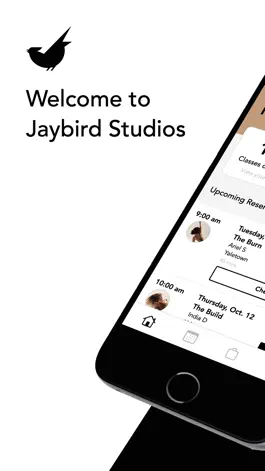 Game screenshot Jaybird Studios: Booking App mod apk