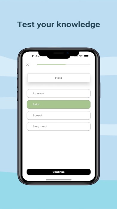 Learn French Online Screenshot