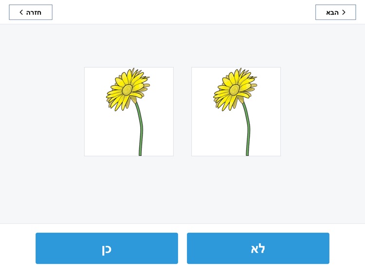 NIH Toolbox V3 Hebrew screenshot-4