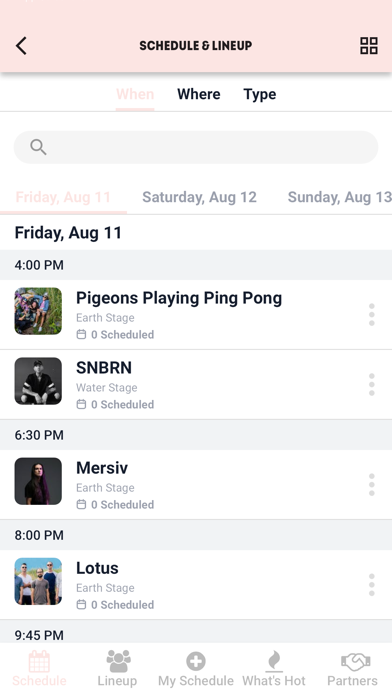 Elements Music Festival Screenshot