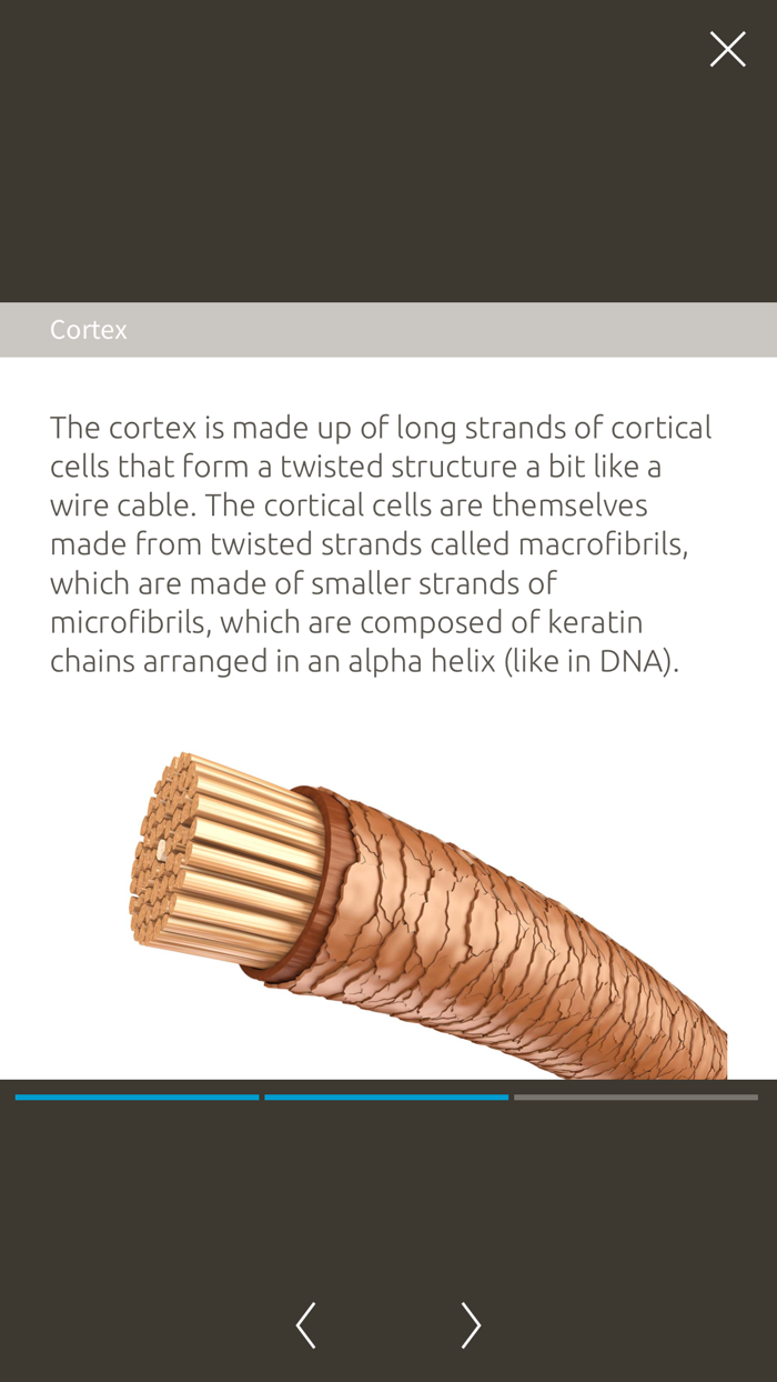 SCS Cosmetic Learning
