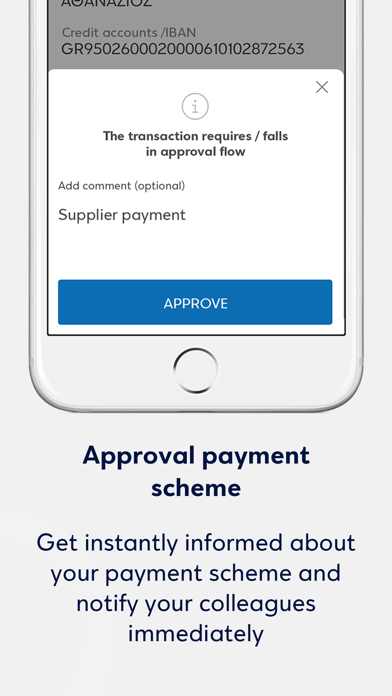 Eurobank Business App Screenshot