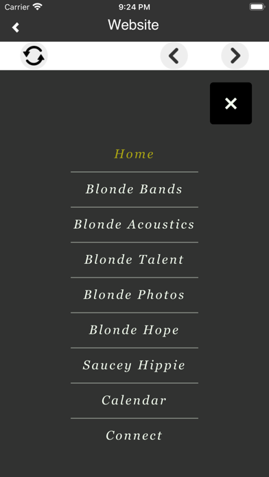 Blonde Entertainment Screenshot