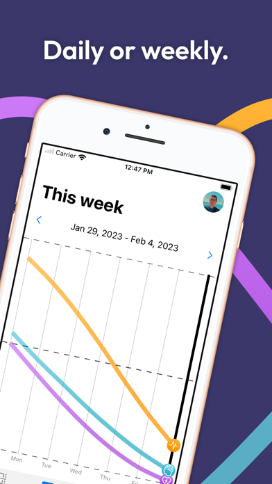 Daily Biorhythms Screenshot