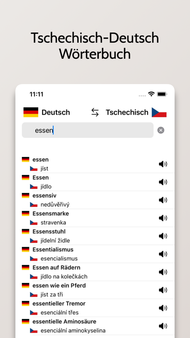 Tschechisch-Deutsch Wörterbuch Screenshot