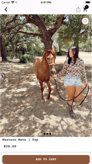 The Backroad Babe Screenshot