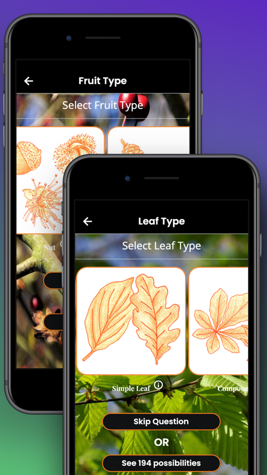 #3. Browse Poster (iOS) 由: Dan Madsen