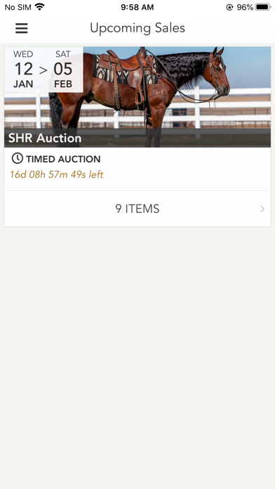 Schmitt Horse Ranch Screenshot