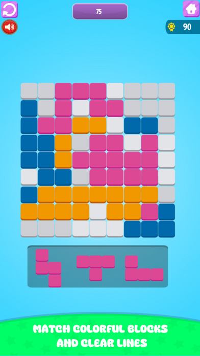 Block Blast - Block Puzzle Screenshot