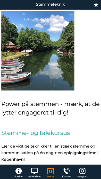 Stemmeteknik Screenshot