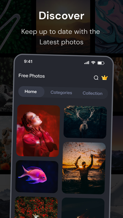 PicPerfect - HD Stock Images Screenshot