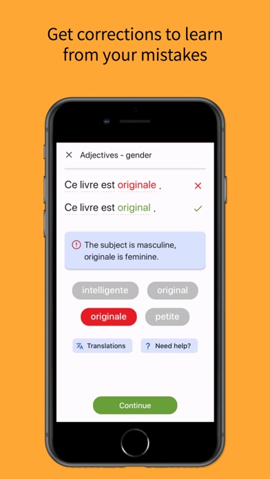 French Grammar Master Screenshot