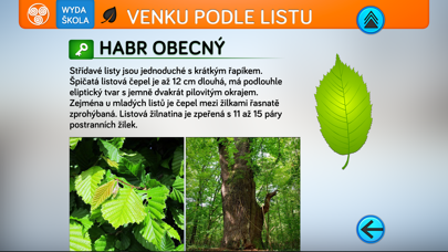 Listy stromů Screenshot