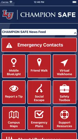 Game screenshot Champion Safe apk