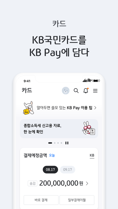 KB Pay Screenshot