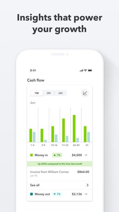 QuickBooks Money Screenshot