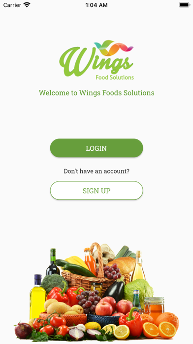Wings Food Screenshot
