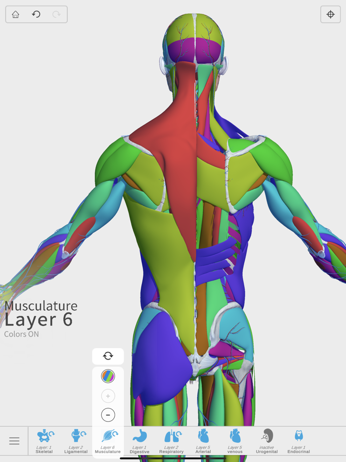 Visual Anatomy 3D - Human