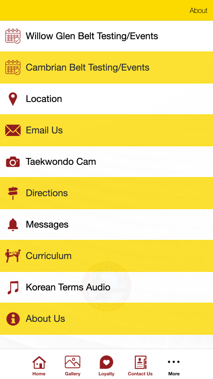 World Class Tae Kwon Do