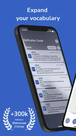 Game screenshot Vocabulary & Dictionary Lekses apk