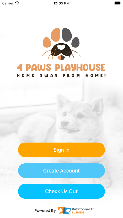 4 Paws Playhouse Screenshot