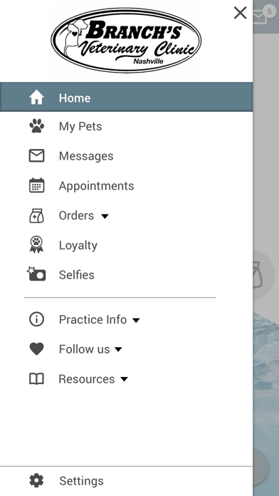 Branchs Vet Clinic Nashville Screenshot