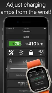 watch app for tesla problems & solutions and troubleshooting guide - 3