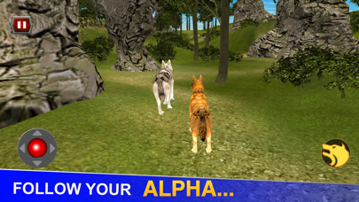 Life Of Wolf - Wild Life Sim Screenshot