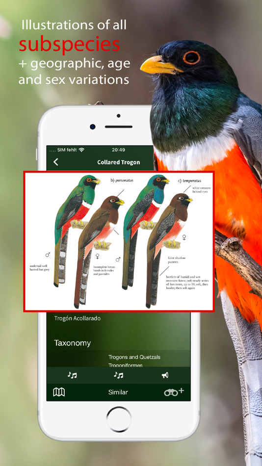 #3. All Birds Colombia field guide (iOS) Podle: Sunbird Images OHG