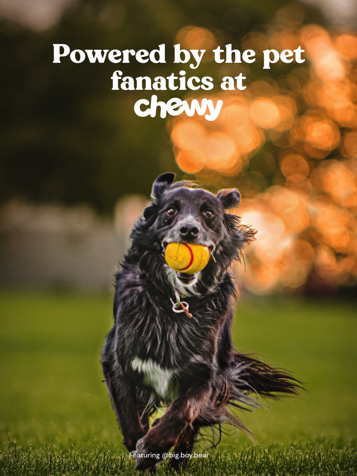 Zoo by Chewy - Pet Community