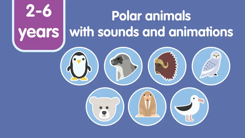 Learn Polar Animals for kids screenshot 2 of 7