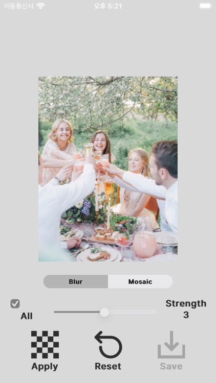 Mosaicizer - Face·Blur·Secure