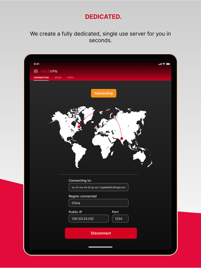 ValeVPN Dedicated VPN Security