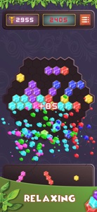 Hexagon Blocks - Puzzle Game screenshot #3 for iPhone