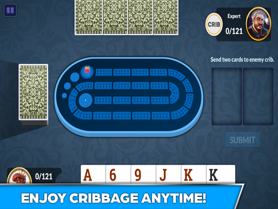 Screenshot #5 pour Cribbage - Offline Card Game