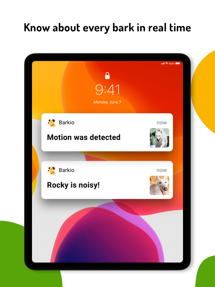 Barkio Dog Monitor and Pet Cam