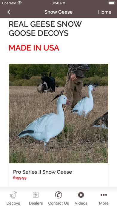 REAL-GEESE DECOYS Screenshot