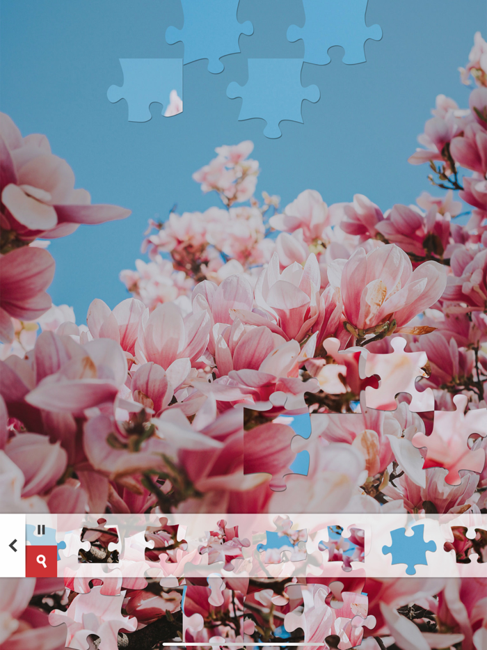 Jigsaw Puzzle of the Day HD