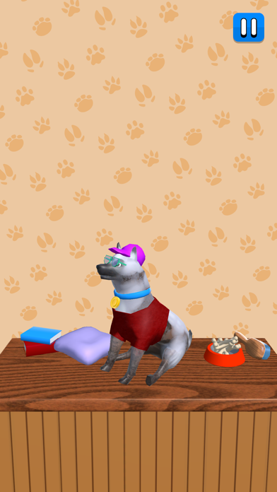 Pet Care Runner Screenshot