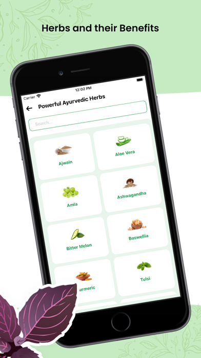 Herbal Natural Care - Ayurveda Screenshot