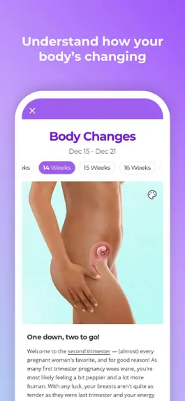 Game screenshot Pregnancy & Baby Tracker - WTE hack