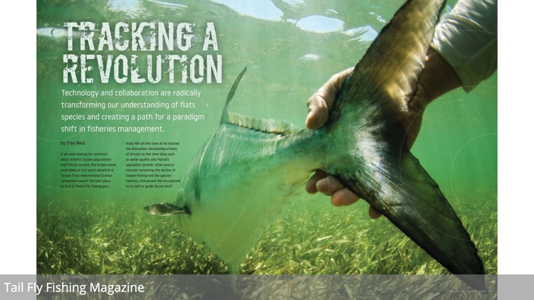 Tail Fly Fishing Magazine screenshot-4