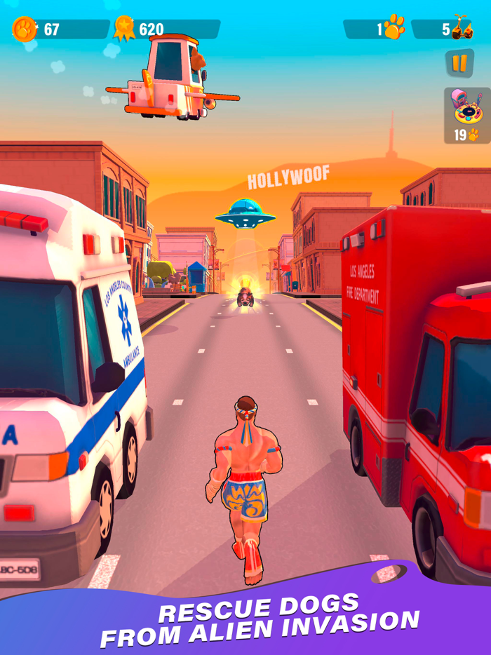 VAN DAMME  Dawn of Chihuahuas