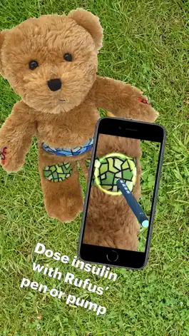 Game screenshot Rufus, the Bear with Diabetes hack