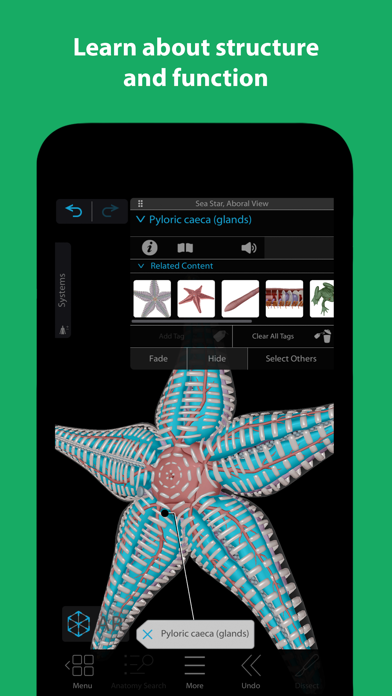 Visible Biology Screenshot