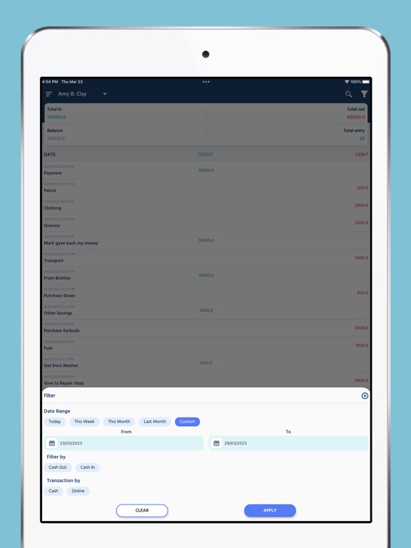 Digital Cashbook: Manage Money iPad screenshot 2 - Business app