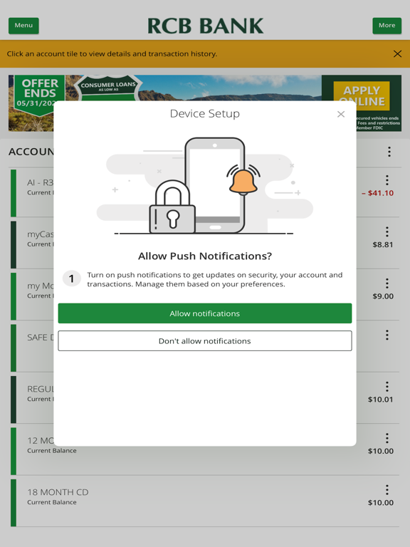 RCB Bank Mobile iPad screenshot 2 - Finance app