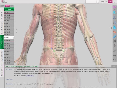 Extra Acupointsのおすすめ画像4