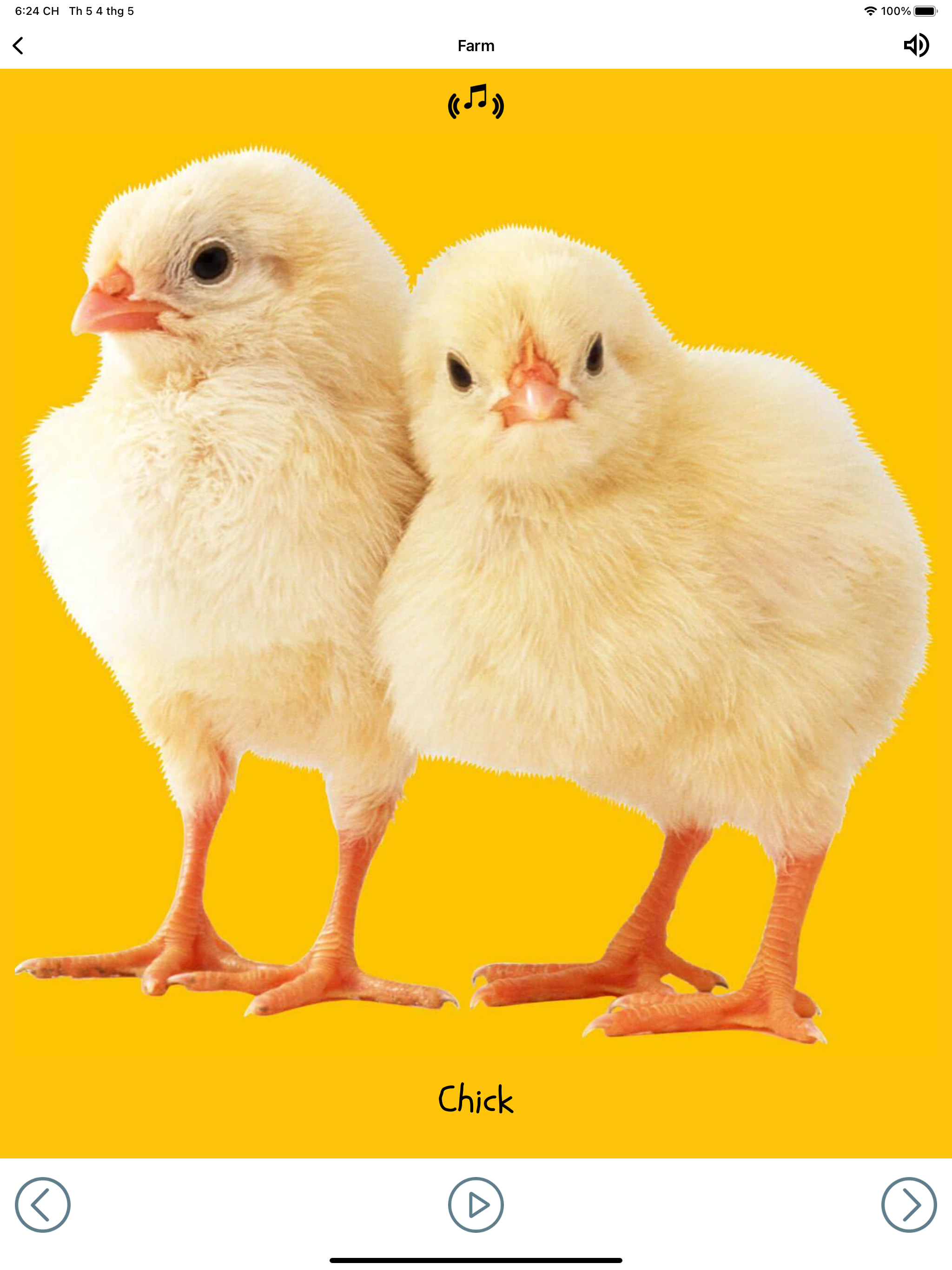 eBook Library 2
